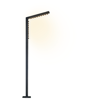 LED Decorative Street light